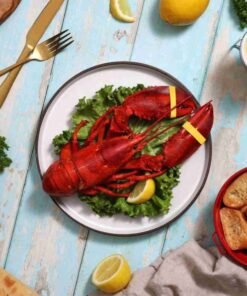 1 lb Live Maine Lobster